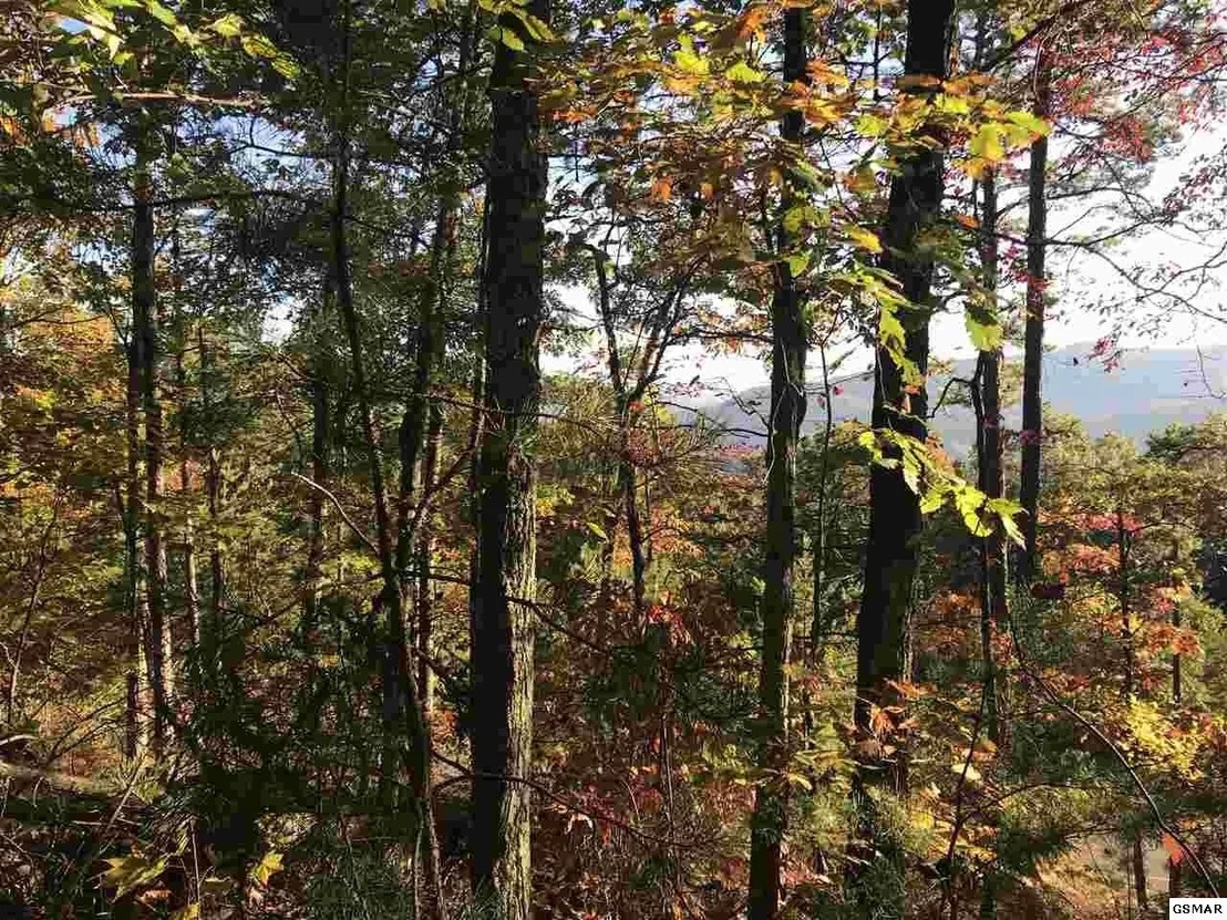 Photo of 132 Settlers View Lane