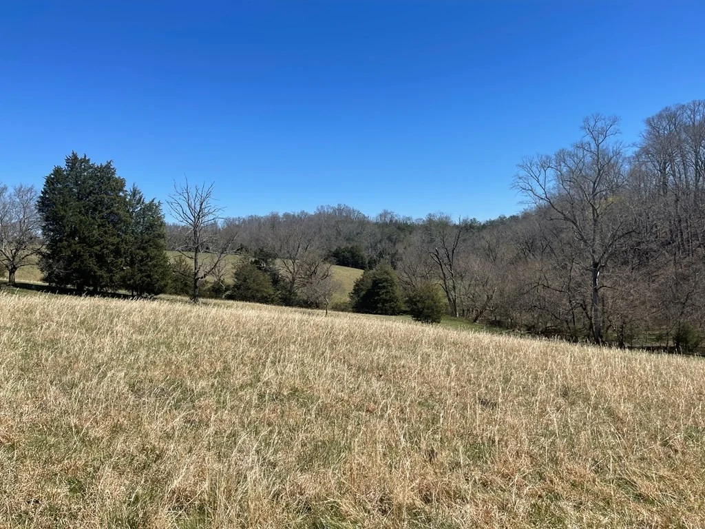 Photo of 1522 Jayell