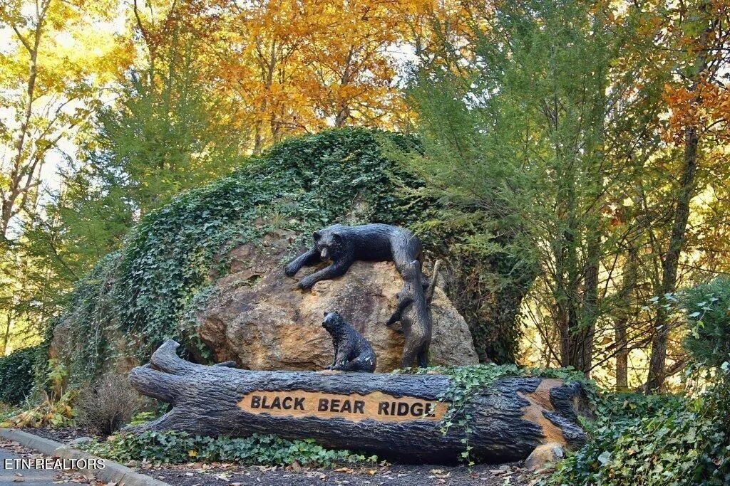 Photo of 922 Black Bear Cub Way