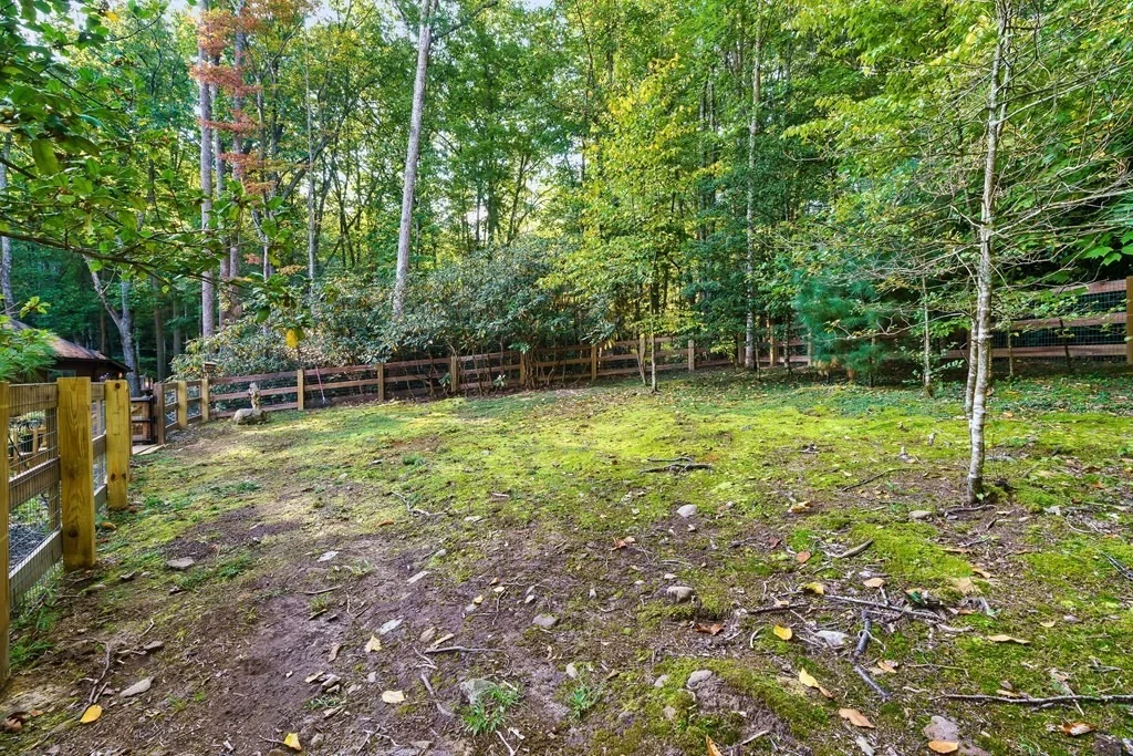Photo of 3950 Forest Trail Drive