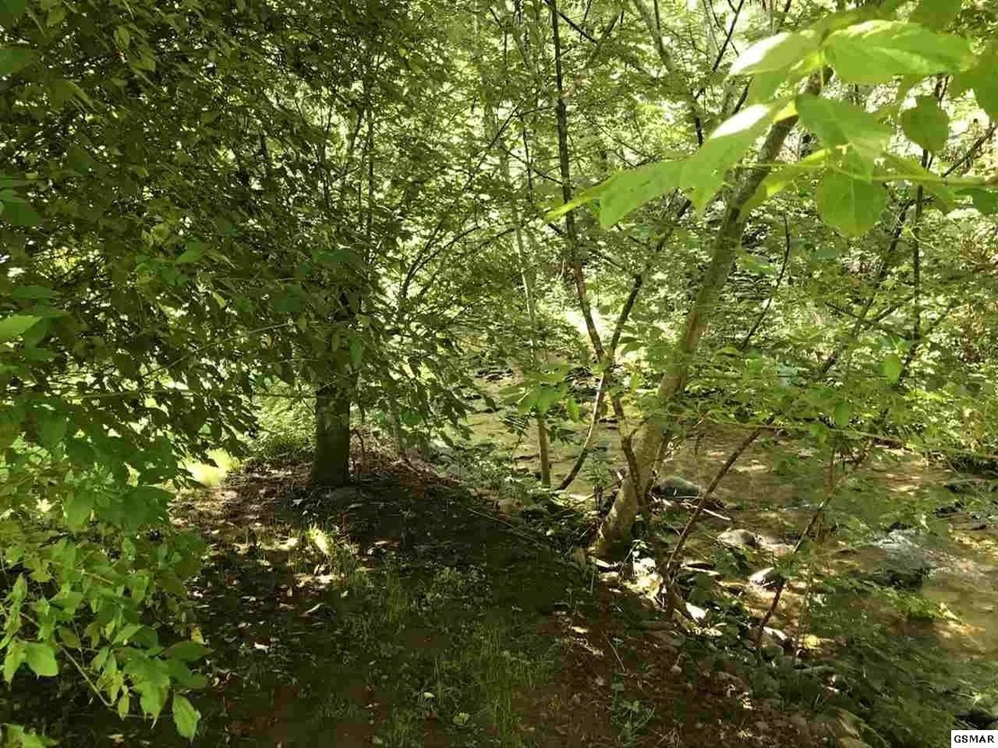 Photo of 804 Mill Creek Road