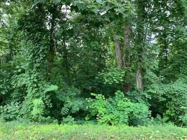 Photo of 26 Booker Rd