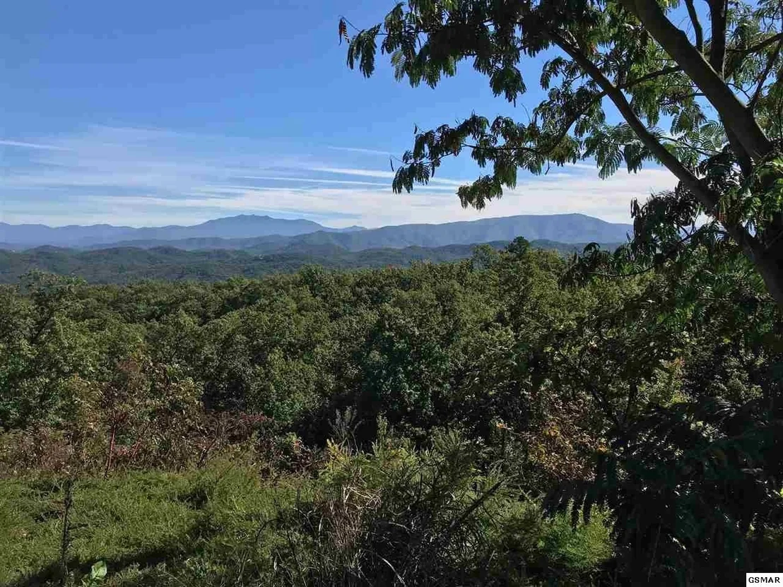 Photo of 3240 Laurel Cove Trail