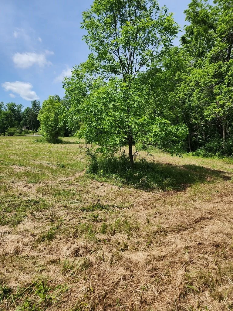 Photo of 16 Red Bud Lane