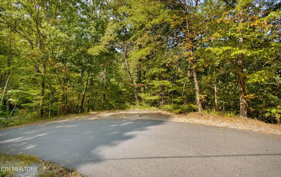 Photo of 20 Sugar Maple Loop