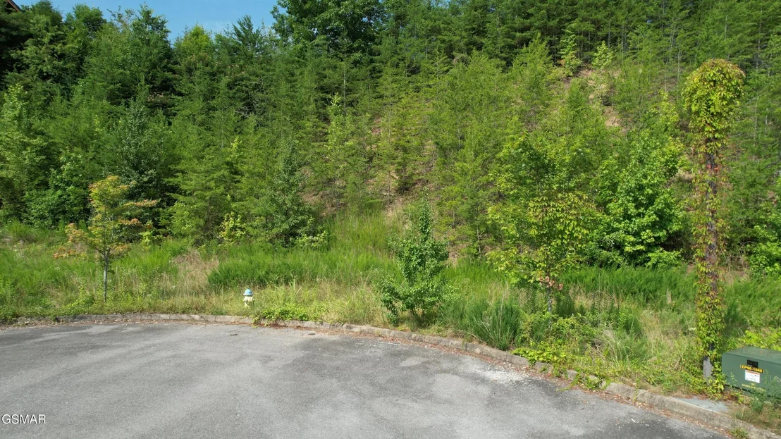 Photo of 3150 Cherokee Valley Drive
