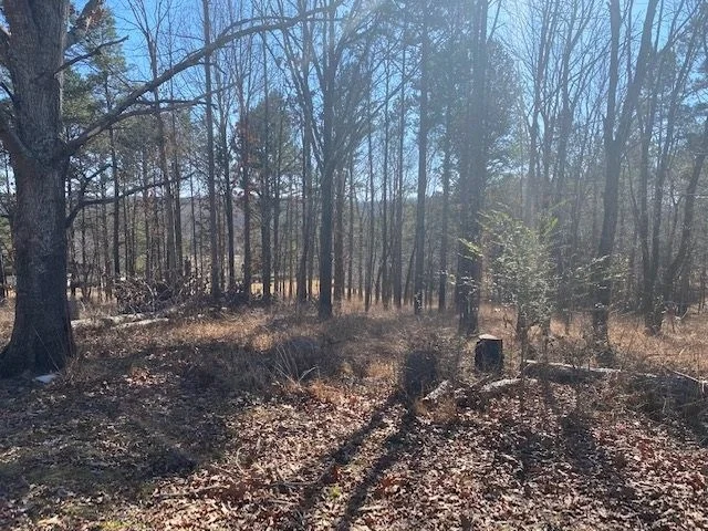 Photo of 338 STANDFILL LN