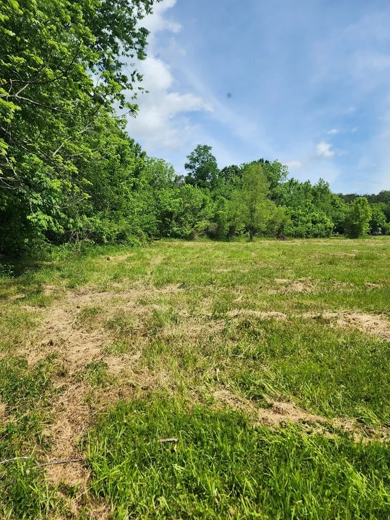 Photo of 16 Red Bud Lane