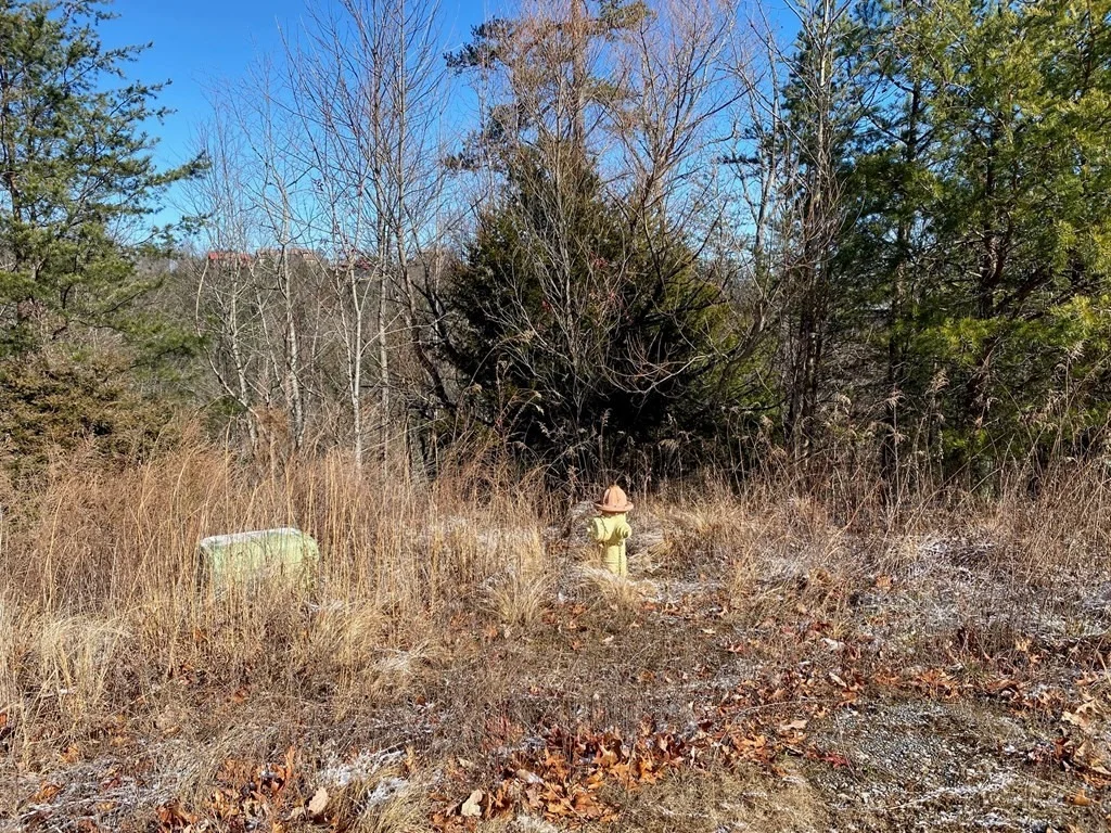 Photo of 3080 Misty Bluff Trail