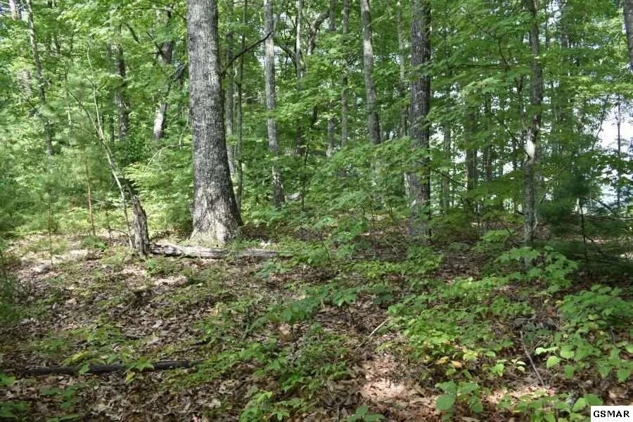 Photo of 3036 Redtail Road