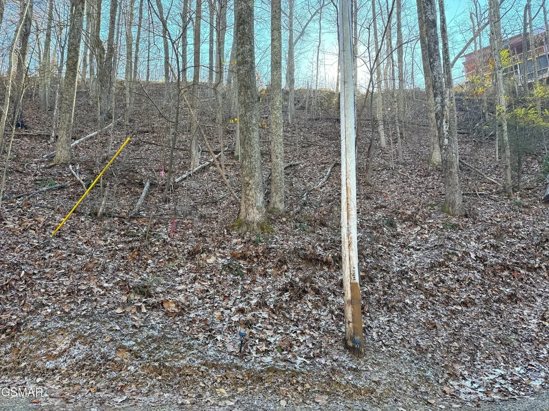 Photo of 1872 Orchard Drive