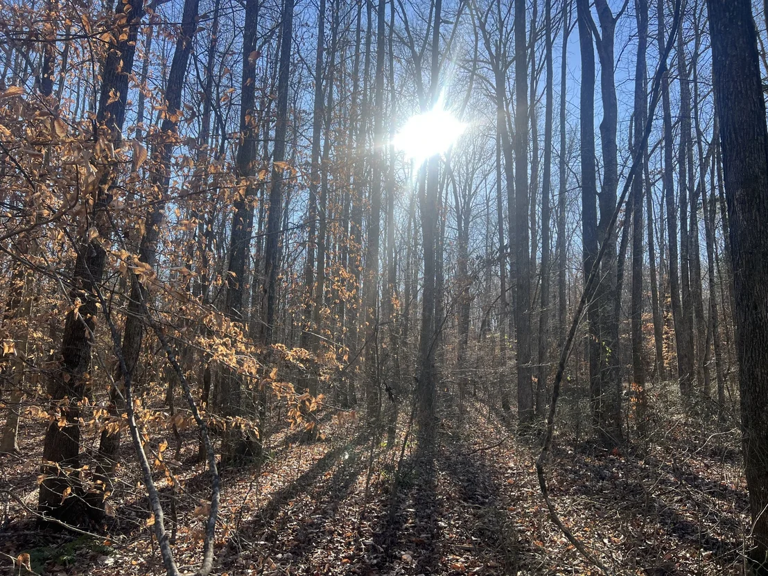 Photo of 0 Excalibur Trail