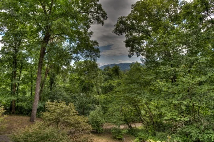 Photo of 3377 Thomaswood Trail