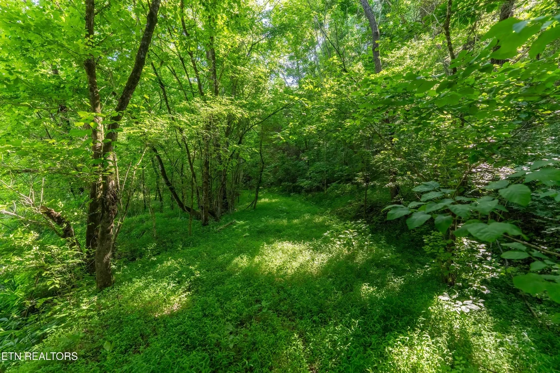 Photo of 1921 Sockless Rd