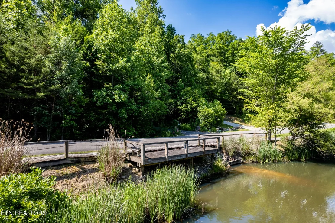 Photo of 716 Tanasi Trail