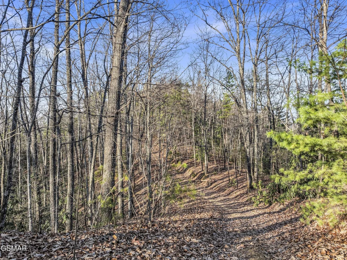 Photo of 3519 Forest Trails Drive