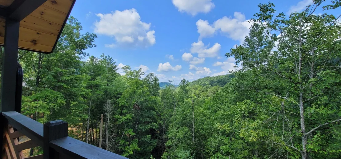 Photo of 1349 Mountain Ash Way
