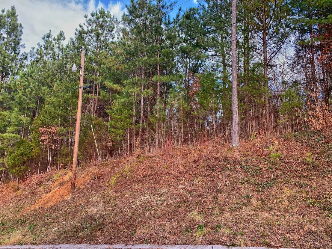 Photo of 14 Pinecrest Drive