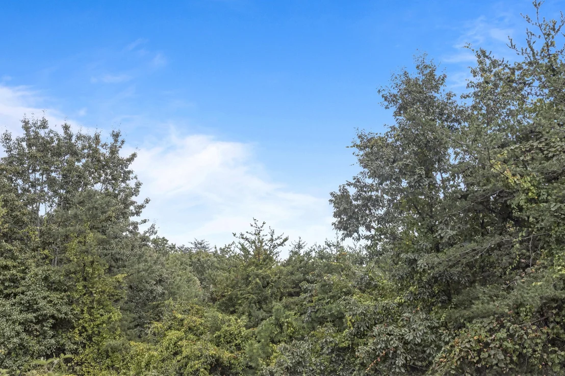 Photo of 815 Battlefield Park Drive