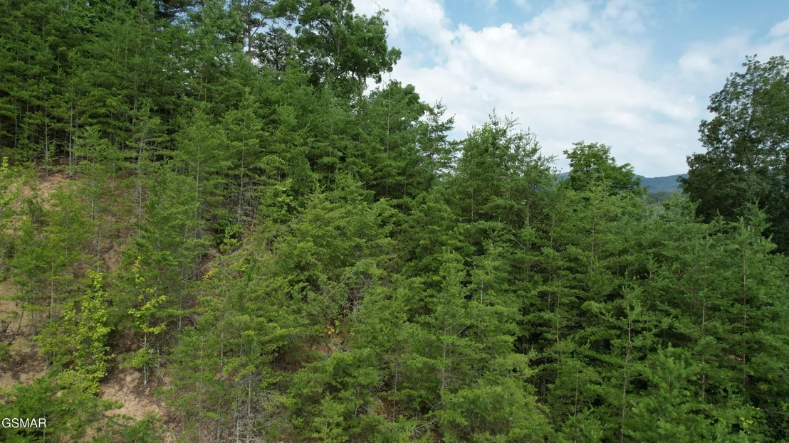 Photo of 3150 Cherokee Valley Drive
