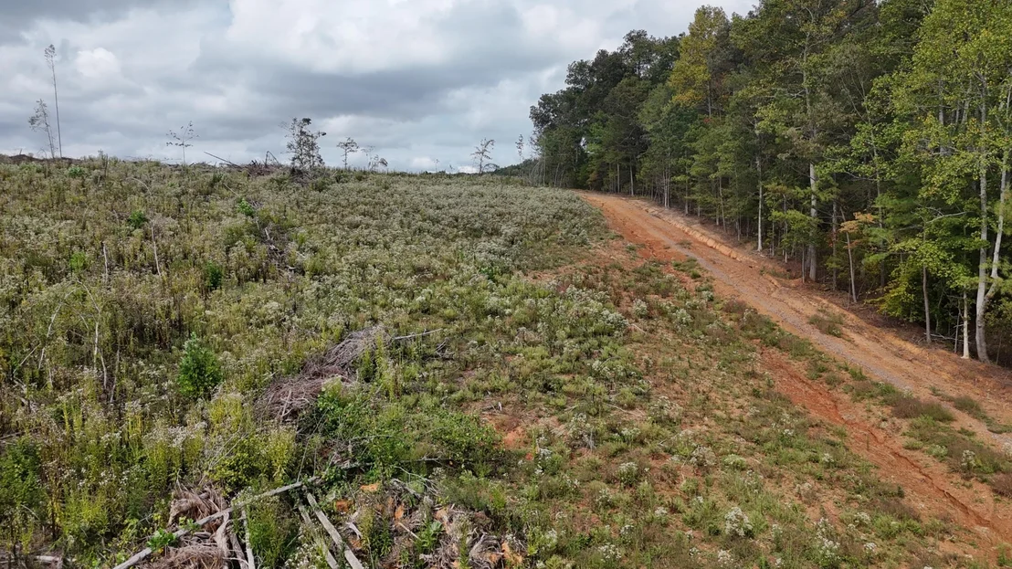 Photo of 658 County Road 48