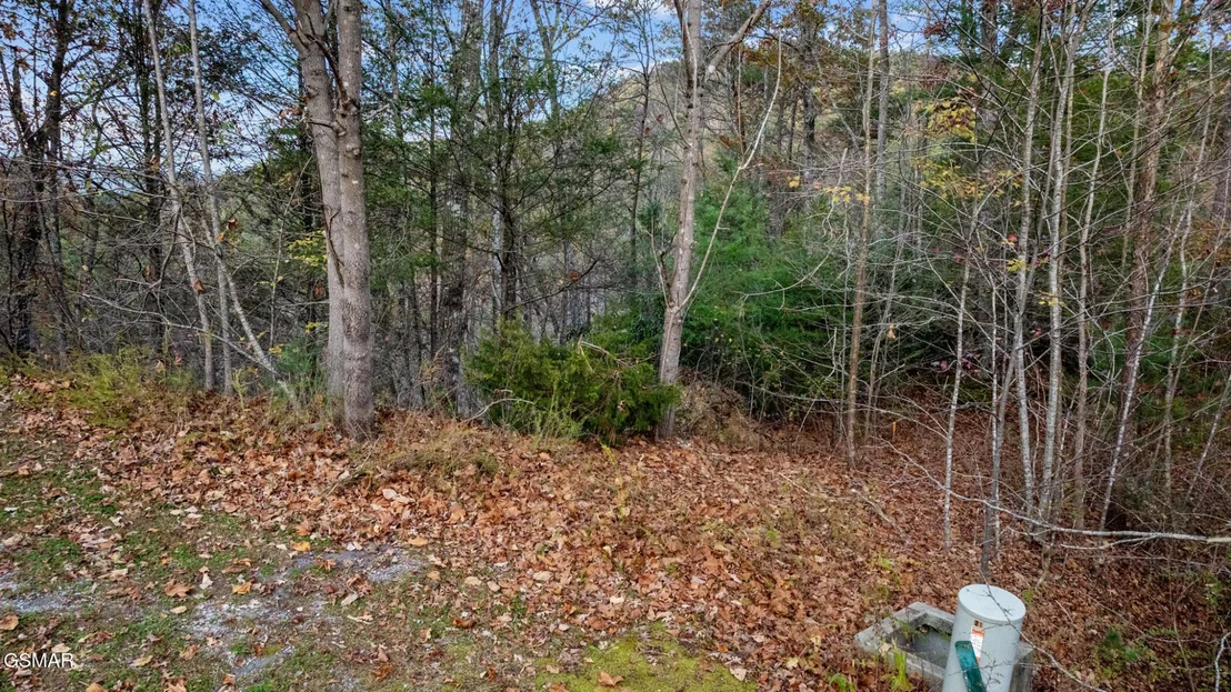 Photo of 4416 Whetstone Road