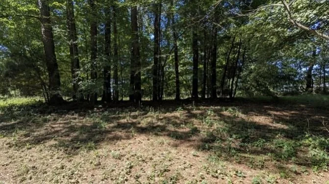 Photo of 237 Hugh Hunter Rd