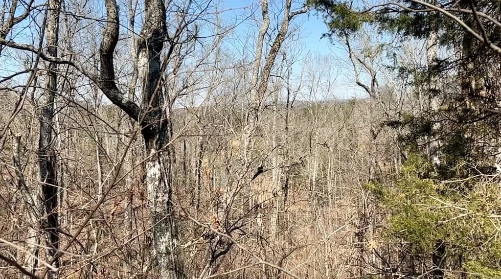 Photo of 1241 Flat Creek Road