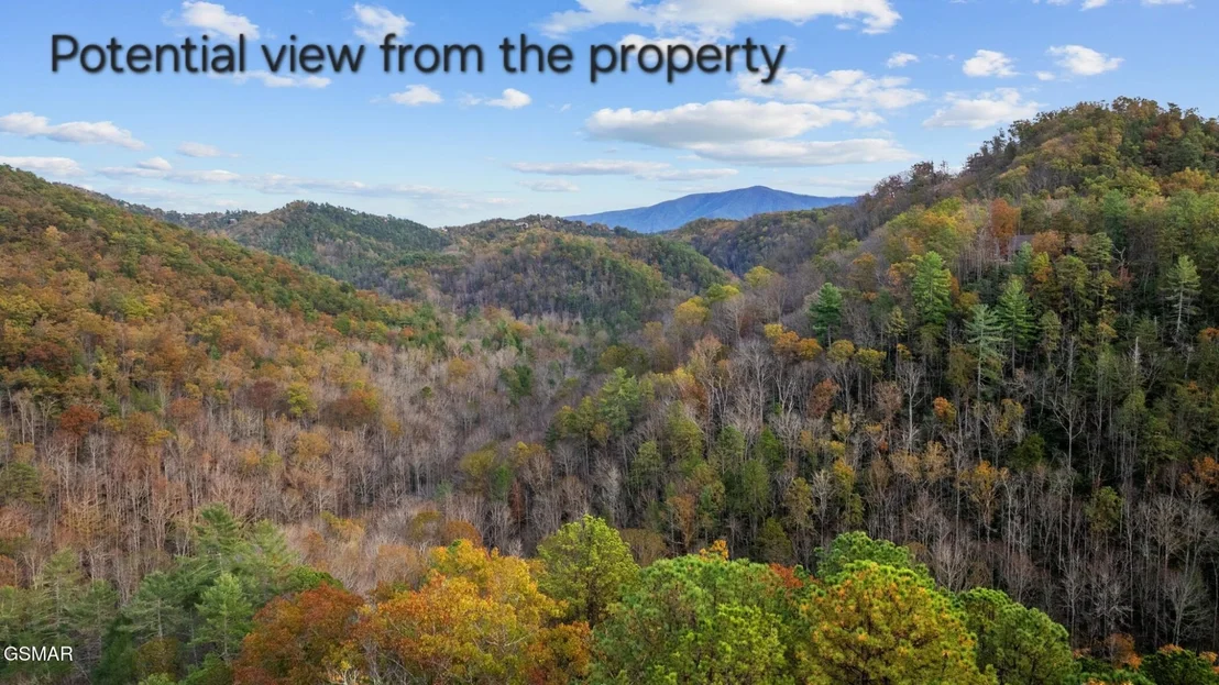 Photo of 4416 Whetstone Road