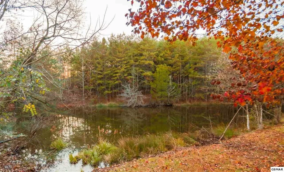 Photo of 2002 Waldens Creek Road