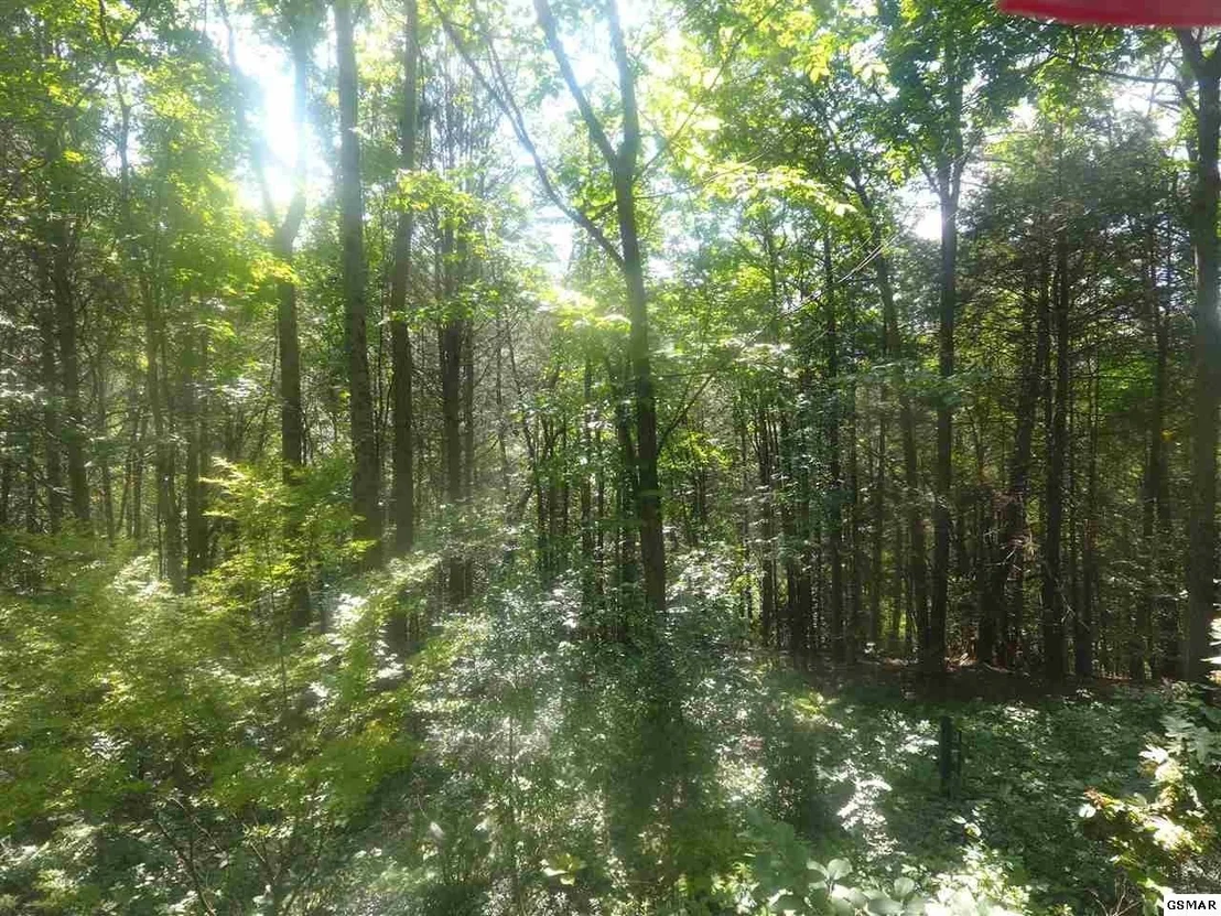 Photo of 3695 Shady Springs Way