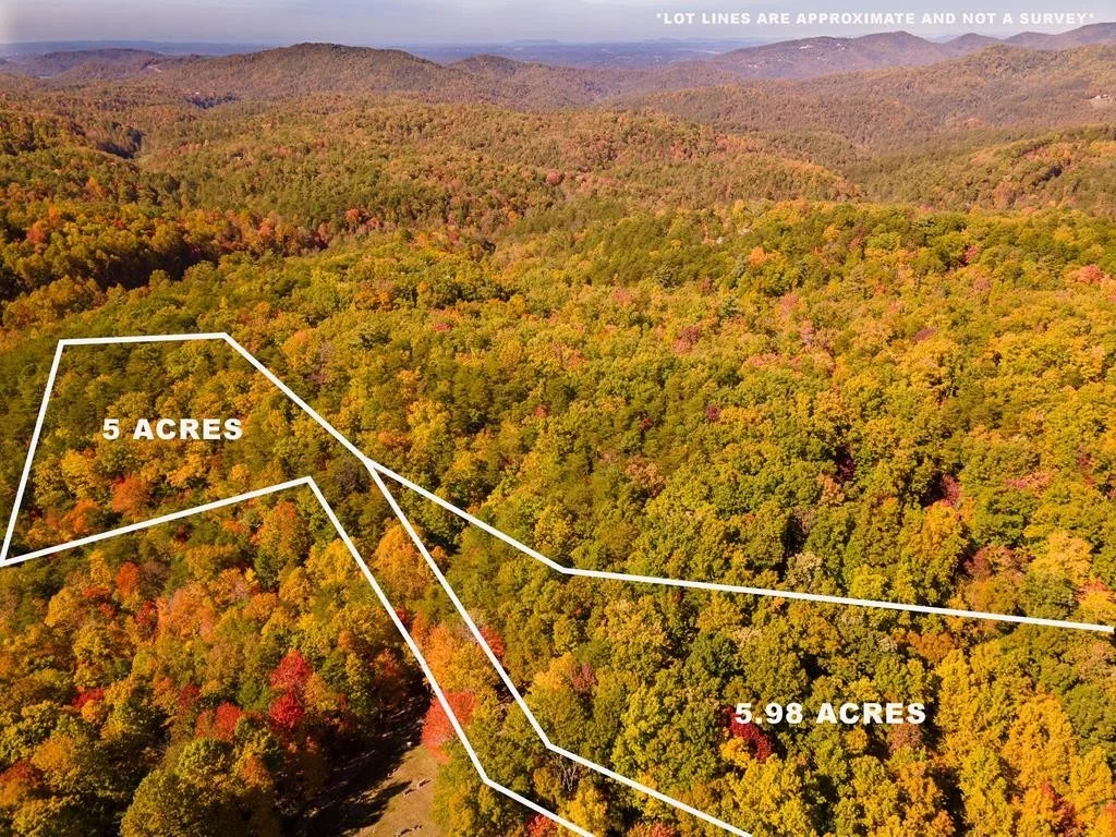 Photo of 3950 Forest Trail Drive