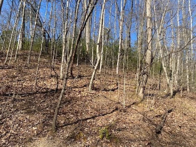 Photo of 1765 Red Bud Road