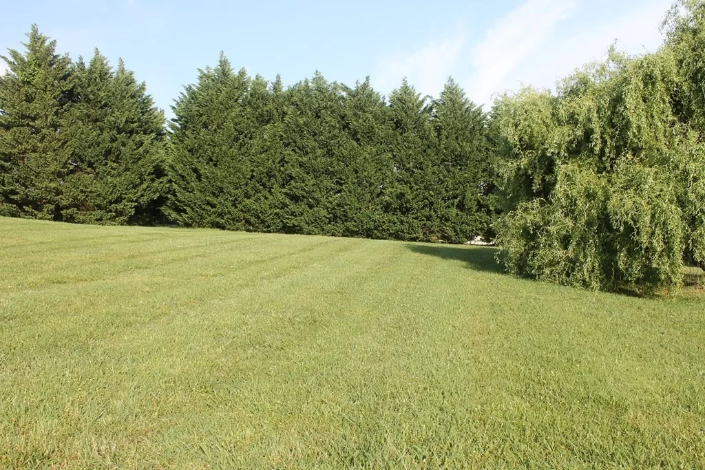 Photo of 779 Constitution Drive