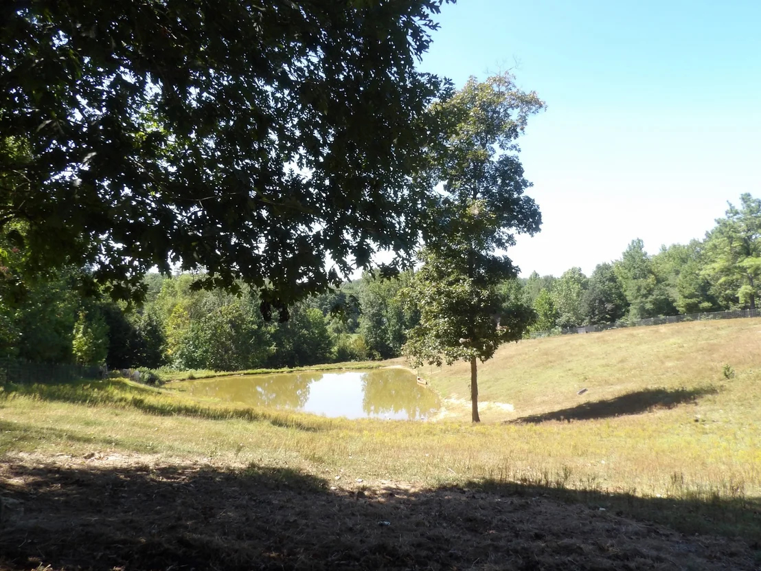 Photo of 2719 McKenzie Rd