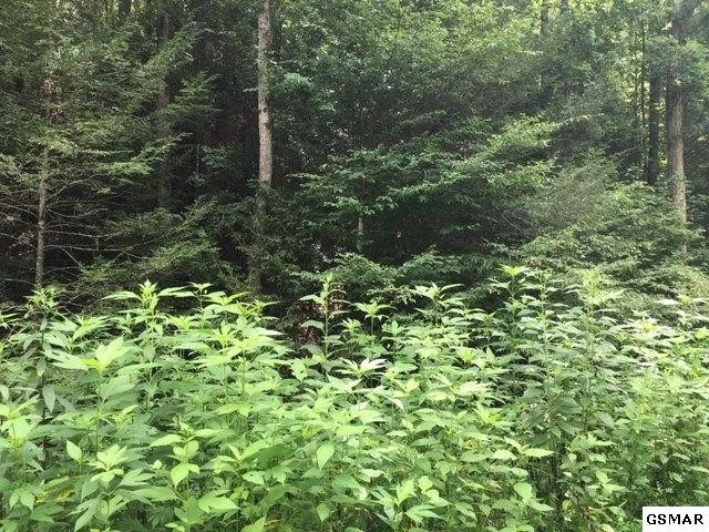 Photo of 726 Sky View Drive
