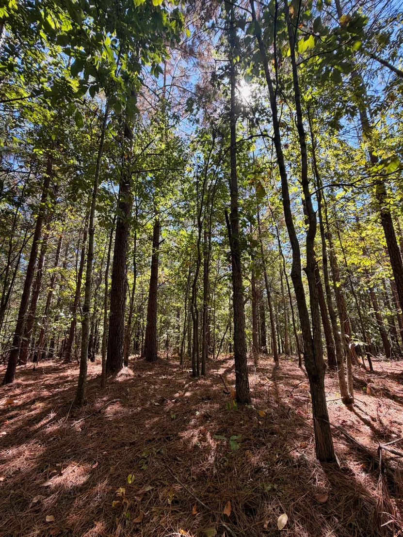 Photo of 0 Coy Hill Rd