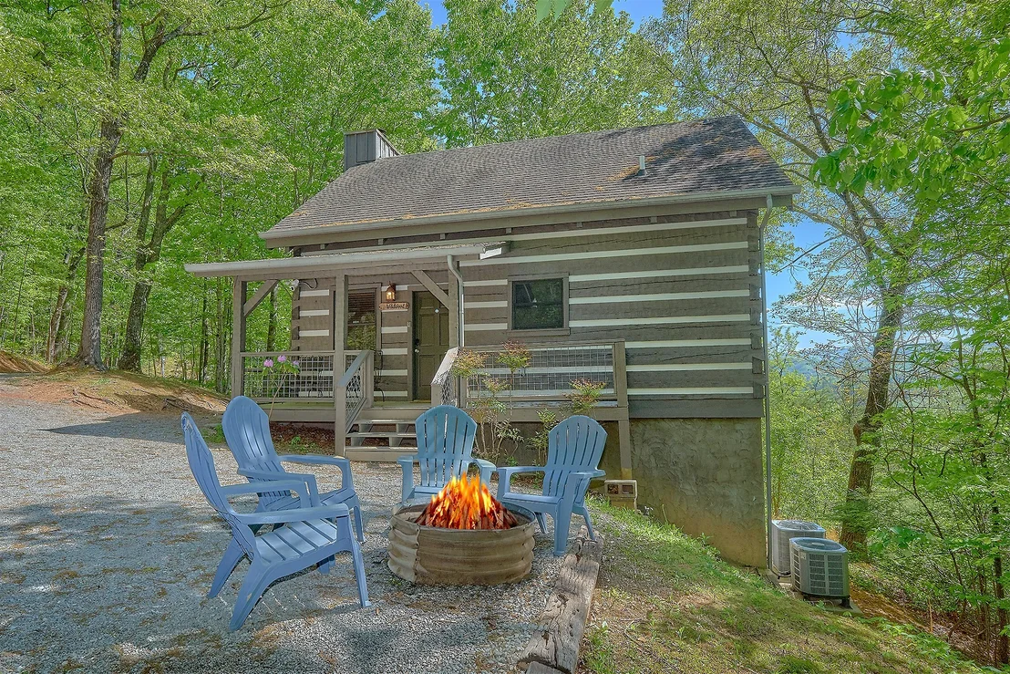 Photo of 461 Sassafras Trl