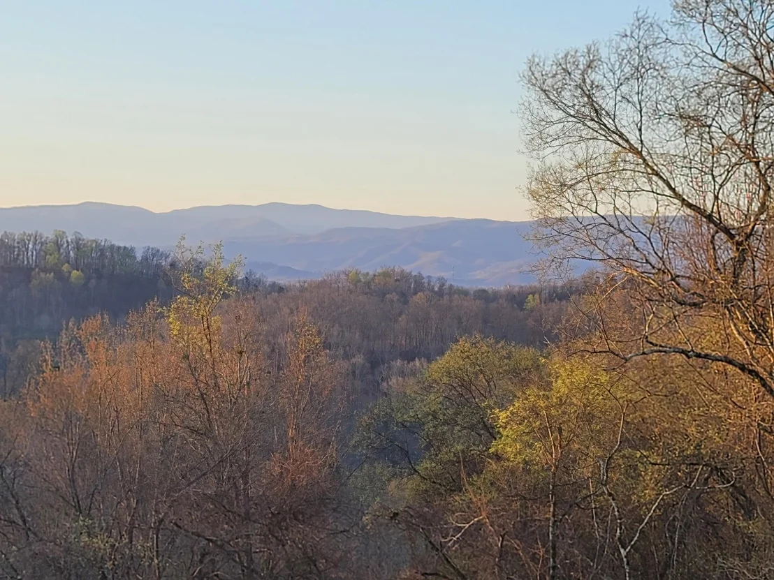 Photo of 1113 Winding Drive