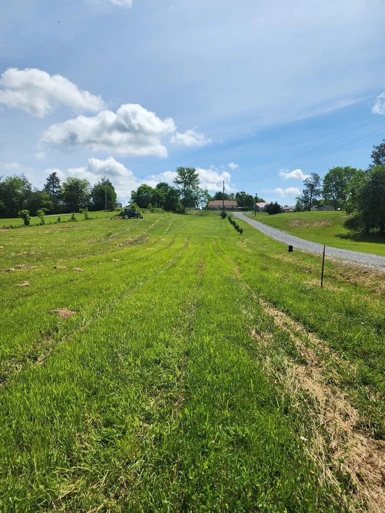 Photo of 16 Red Bud Lane