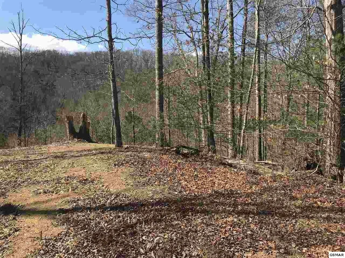 Photo of 1718 Highway 25E