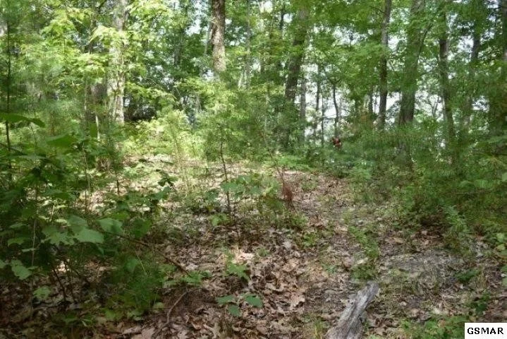 Photo of 3036 Redtail Road