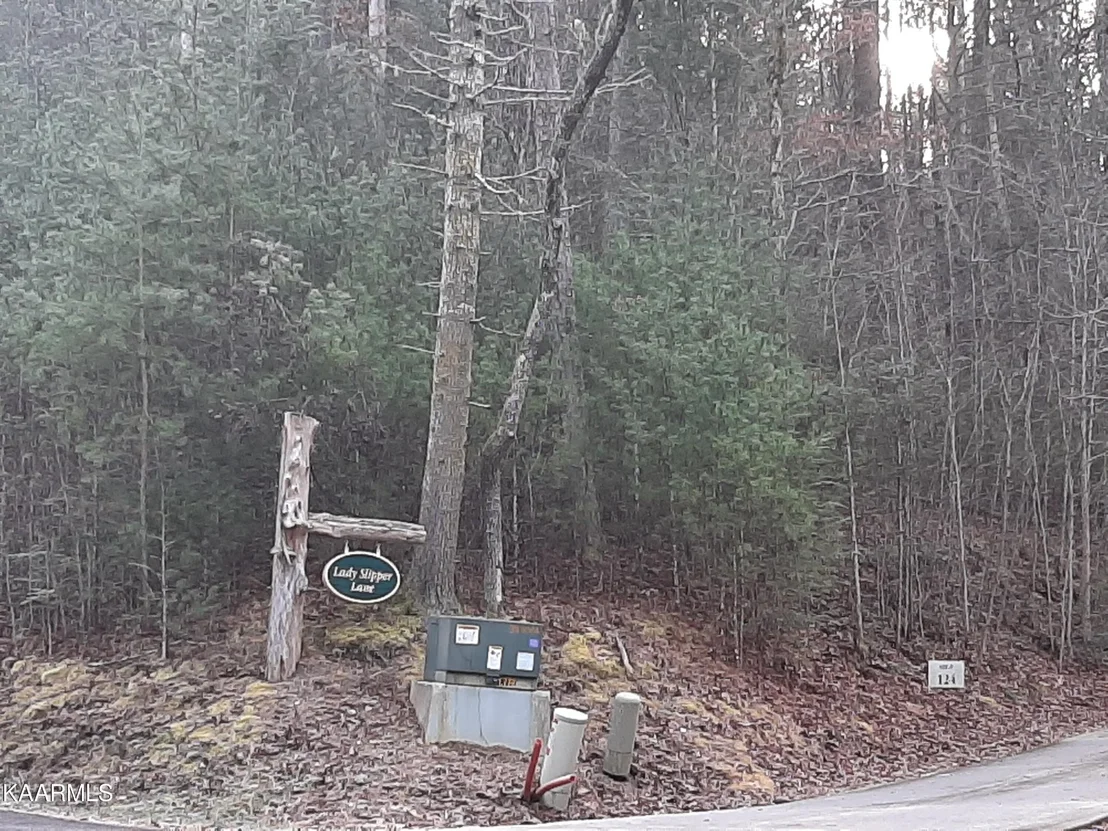 Photo of 509 Lady Slipper Lane