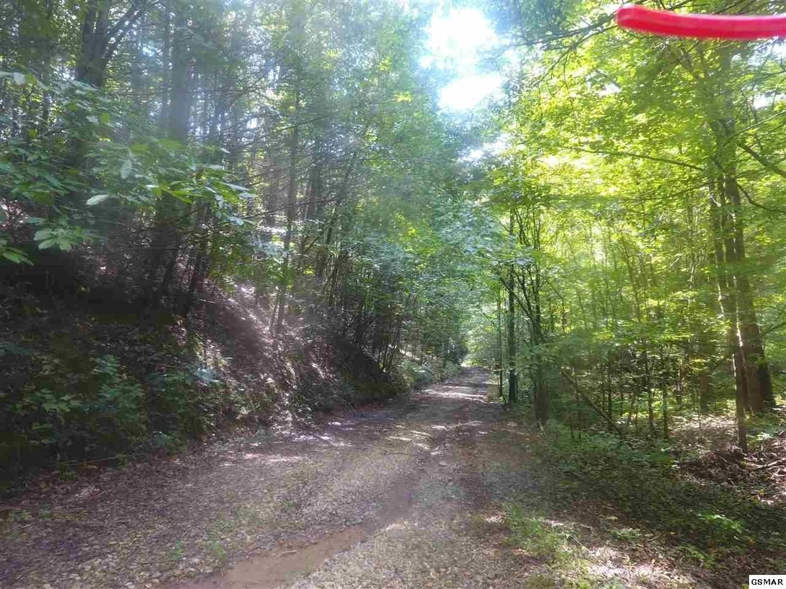 Photo of 3695 Shady Springs Way