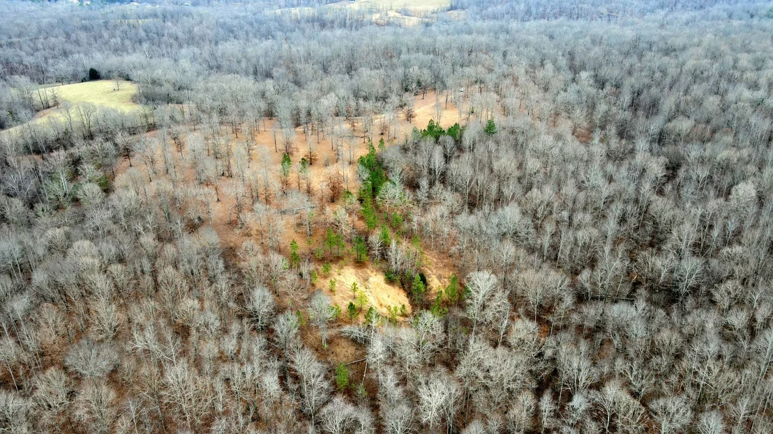 Photo of 1090 Brown Mill Rd