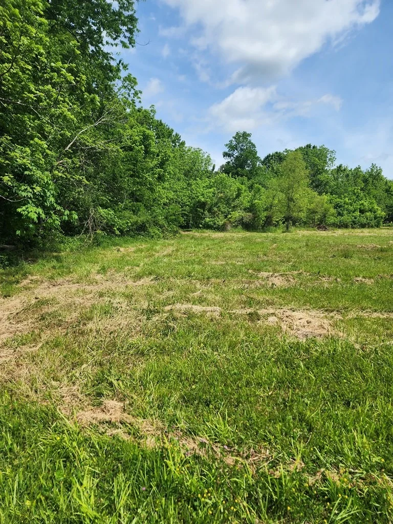 Photo of 16 Red Bud Lane