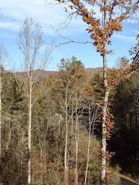 Photo of 456 Grassy Branch Road