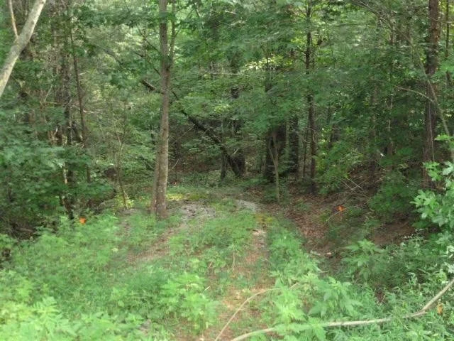 Photo of 138 Anatole Pass