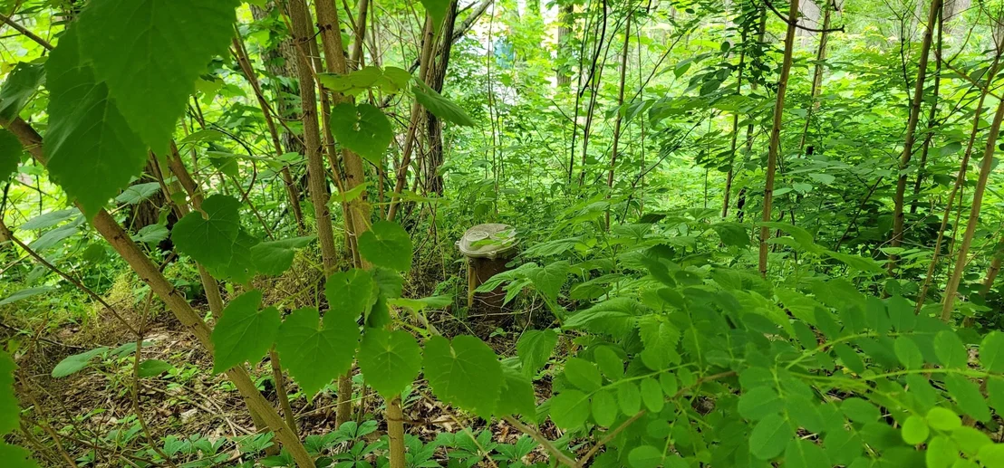 Photo of 3244 Emerald Springs Loop