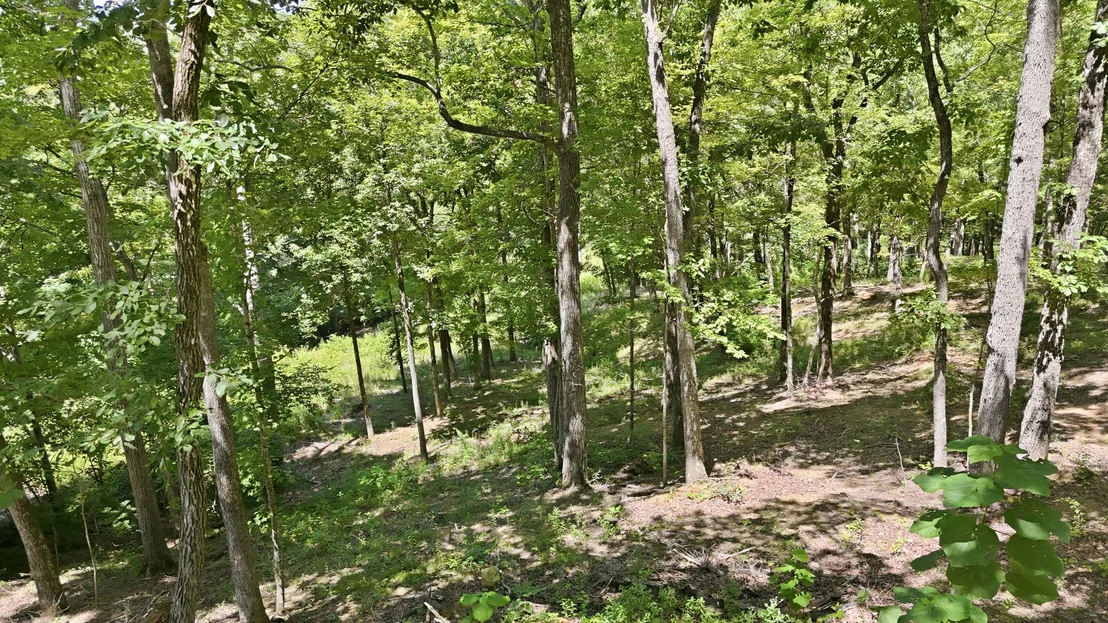 Photo of 103 Ridgeline Trl